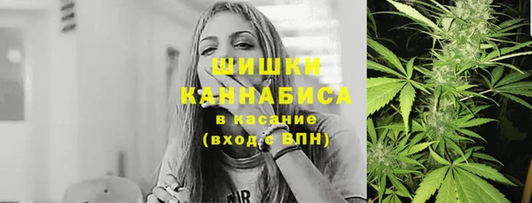 ГАЛЛЮЦИНОГЕННЫЕ ГРИБЫ Грязовец