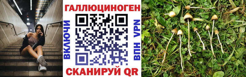 Галлюциногенные грибы Cubensis  Тюкалинск 